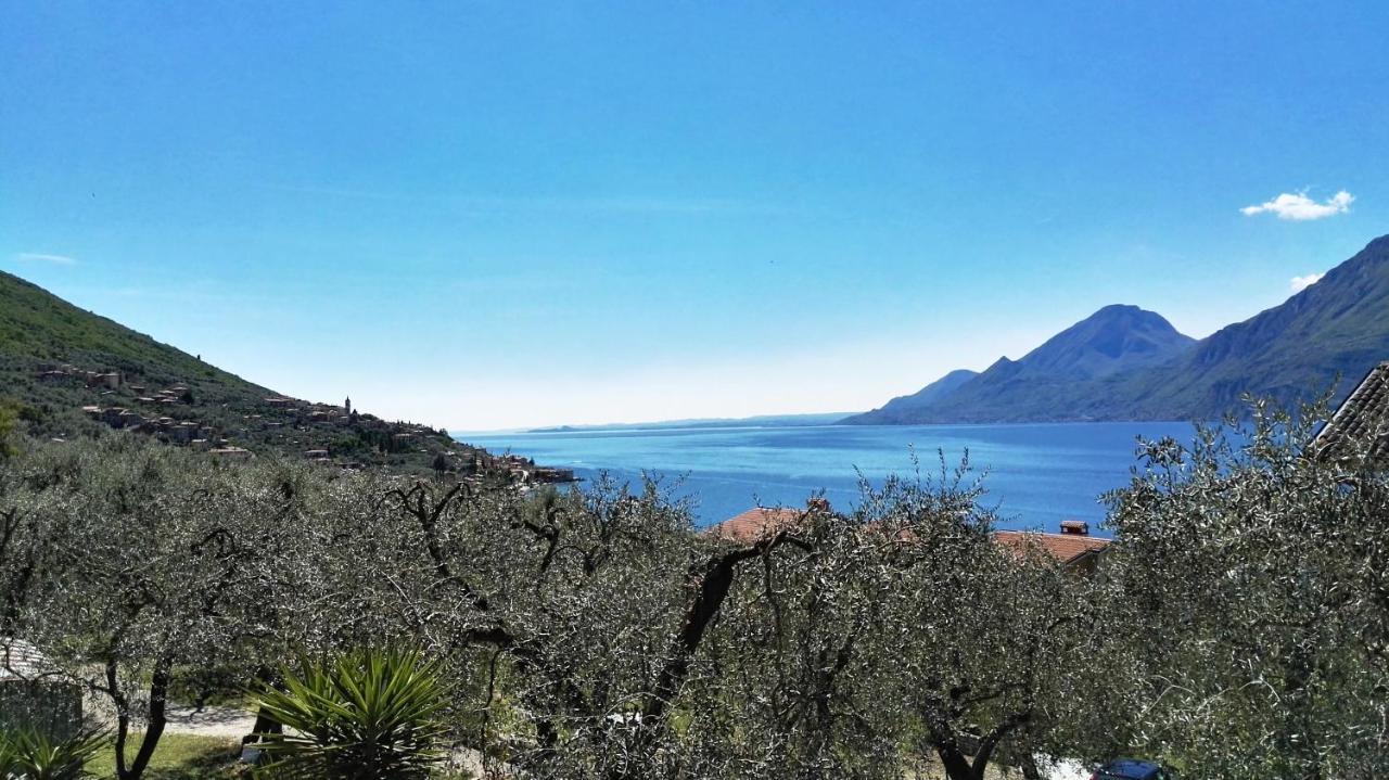 Appartamenti Casa Nina, Lago,Montagne, Uliveti Бренцоне сул Гарда Екстериор снимка